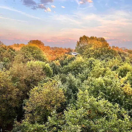 Oska Near Expo, Tauron Arena 크라쿠프