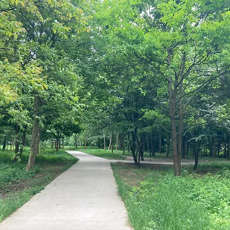 Apartment Oska Przy Parku, Klimatyzacja, Parking, Tauron, Expo, Komunikacja Miejska